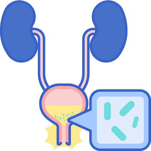 Urinary tract infection bladder kidney healthcare and medical icon