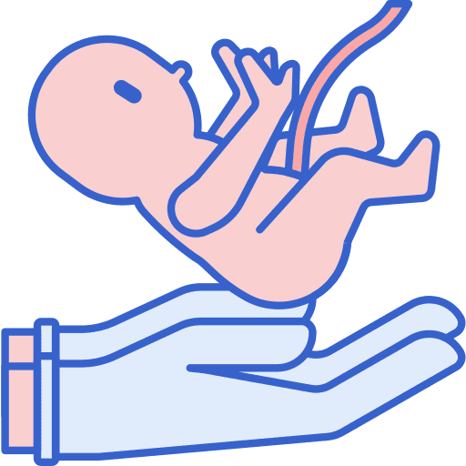 Childbirth baby born reproduction icon