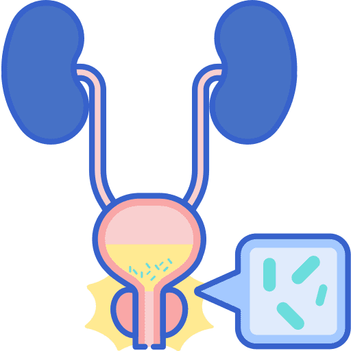 Urinary tract infection bladder kidney male icon