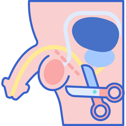 Vasectomy surgical procedure penis testicles icon