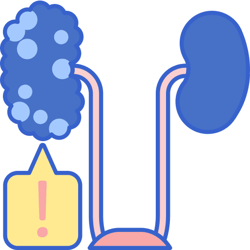 Kidney disease body failure icon