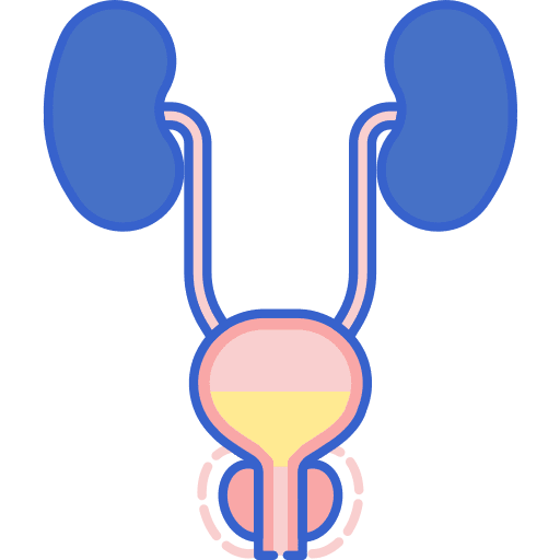 Prostate healthcare prostate medical icon