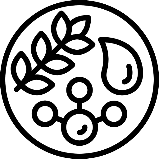 Diet diet wheat nutrition icon