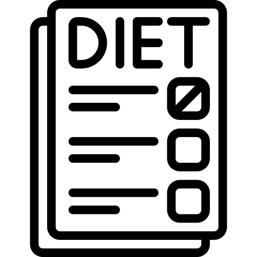 Diet eating food and restaurant plane icon