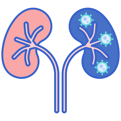 Kidneys urology coronavirus disease icon