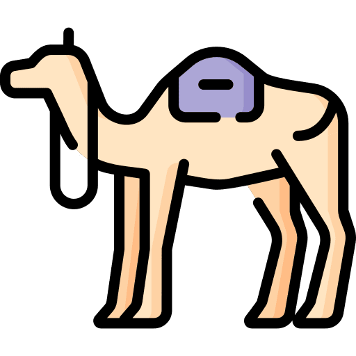 Camel wildlife camel dromedary icon