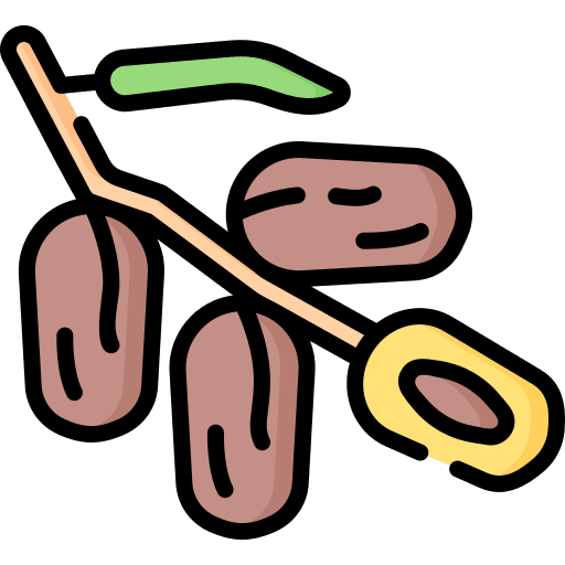 Dates food and restaurant fruit islam icon