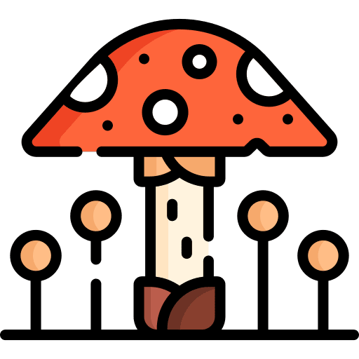 Fungus ecology and environment nature mushrooms icon