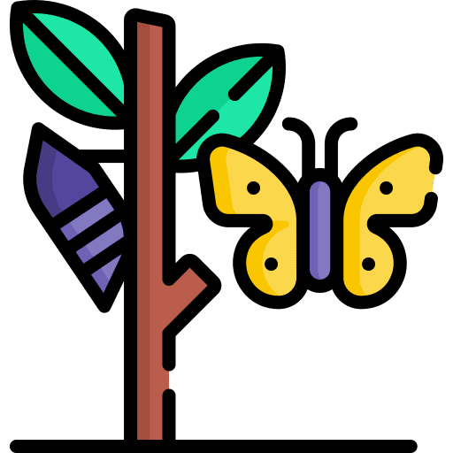Metamorphosis butterfly metamorphosis healthcare and medical icon