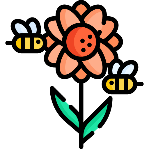 Symbiosis symbiosis sunflower flower icon