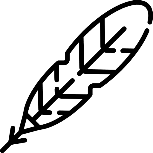 Feather feather pen sensitive writing icon