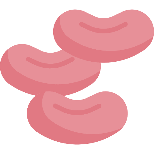 Beans vegan food and restaurant organic icon Beans vegan food and restaurant organic icon