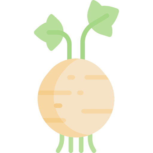 Celery root vegetable celery root food and restaurant icon