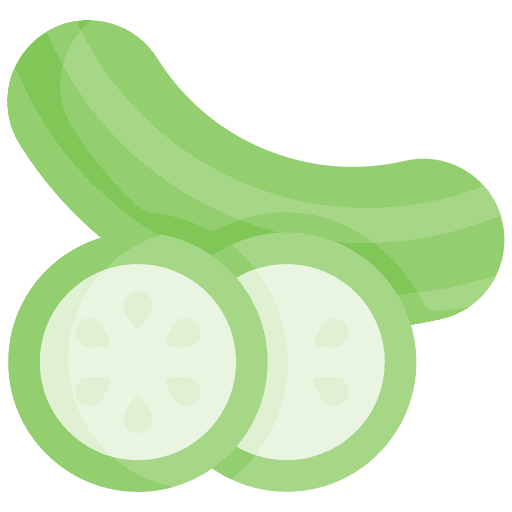 Cucumber fruit vegetarian organic icon