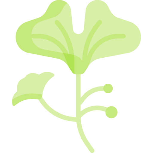 Ginko plant leaves fall icon Ginko plant leaves fall icon