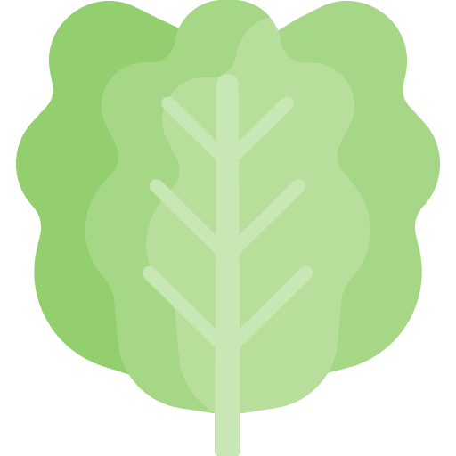 Kale green vegetable mustard icon