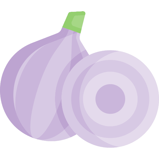 Onion diet vegan onion icon