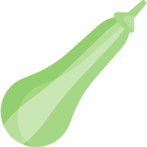 Zucchini vegan vegetarian zucchini icon