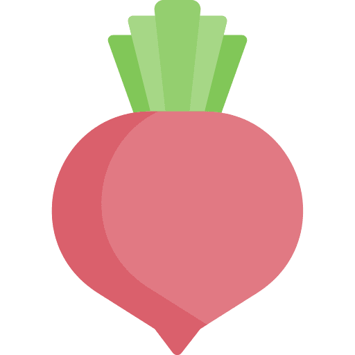 Beet vegetarian vegan healthy food icon Beet vegetarian vegan healthy food icon
