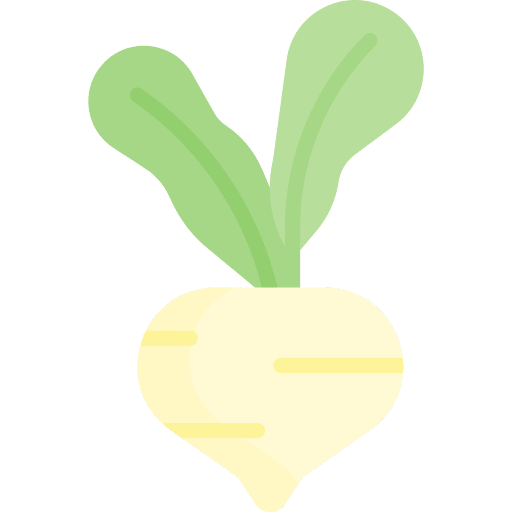 Turnip vegan vegetable diet icon Turnip vegan vegetable diet icon