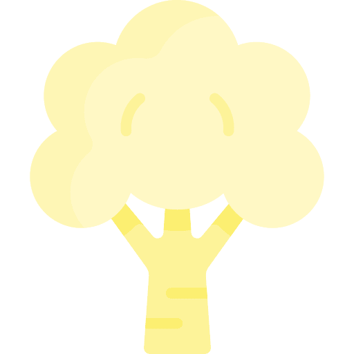 Cauliflower healthy diet cauliflower icon Cauliflower healthy diet cauliflower icon