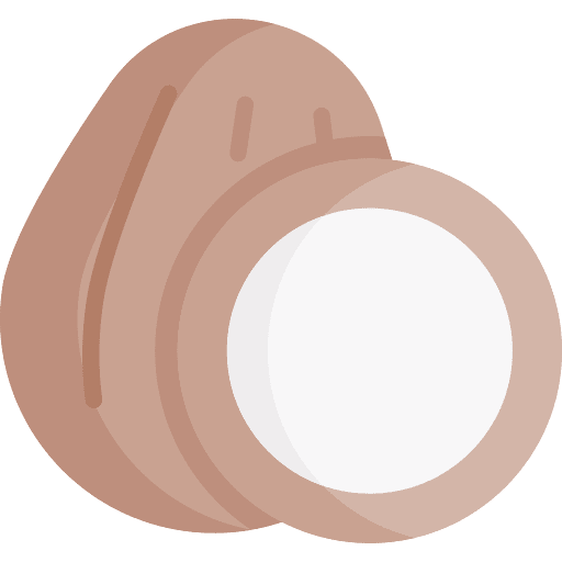 Coconut coconut food coconuts icon Coconut coconut food coconuts icon