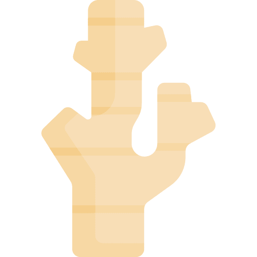 Ginger vegan organic healthy food icon Ginger vegan organic healthy food icon