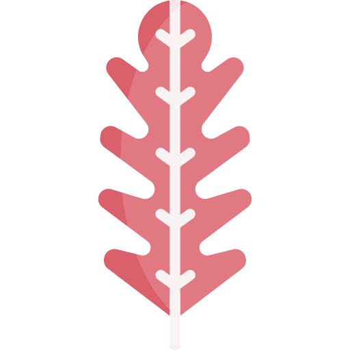 Lettuce lettuce vegetable diet icon Lettuce lettuce vegetable diet icon