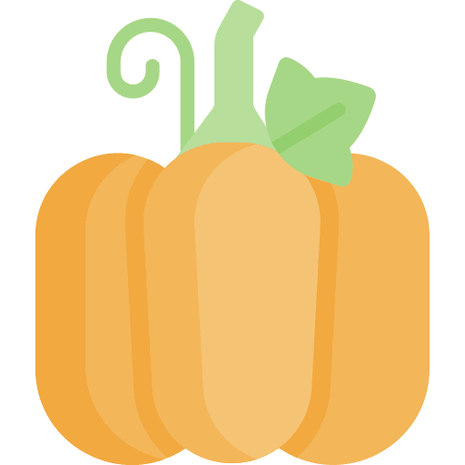 Pumpkin organic diet fruit icon Pumpkin organic diet fruit icon