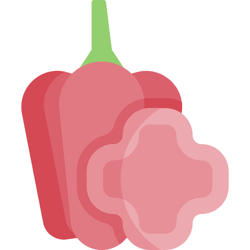 Capsicum fruit vegetarian capsicum icon Capsicum fruit vegetarian capsicum icon