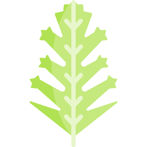 Frisee frisee food and restaurant vegetable icon Frisee frisee food and restaurant vegetable icon