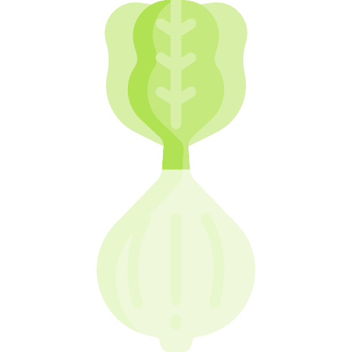 Lettuce vegan nutrition food icon Lettuce vegan nutrition food icon