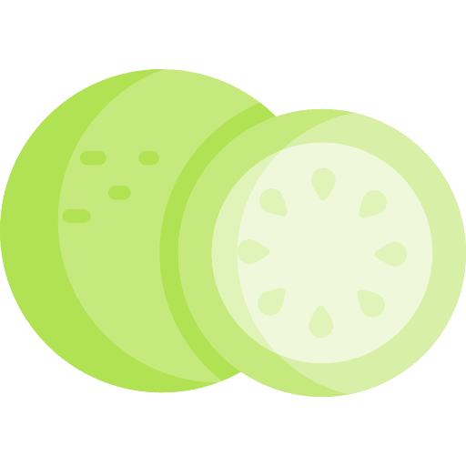 Lime fruit organic vegetarian icon Lime fruit organic vegetarian icon