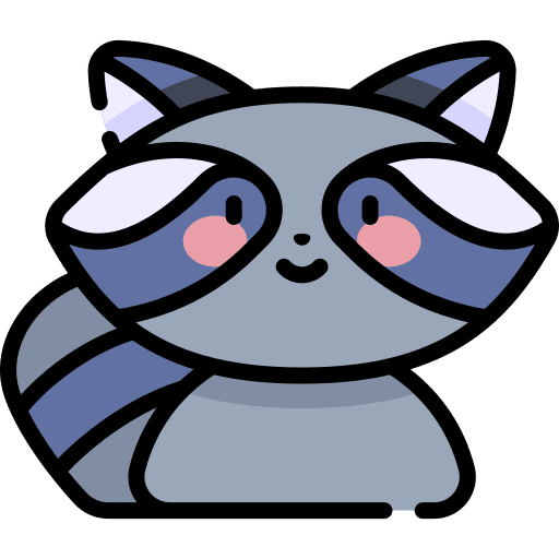 Raccoon raccoon wildlife animals icon