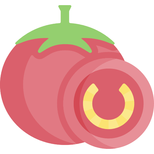 Tomato fruit tomato organic icon Tomato fruit tomato organic icon