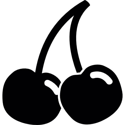 Cherries with stem cherry organic fruit icon