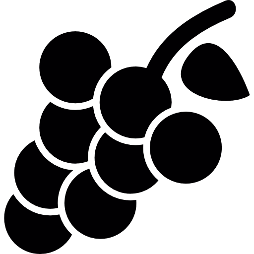 Grapes with leaf and stem fruit grape fruits icon