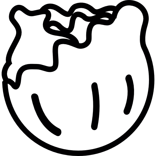 Cabbage  food greens vegetables icon