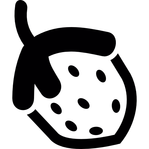 Strawberry fruits fruit organic icon