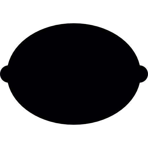 Horizontal lemon organic fruits food icon