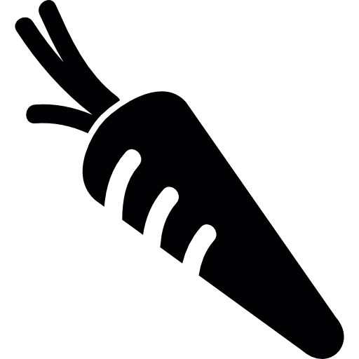 Fresh carrot vegetable organic salad icon