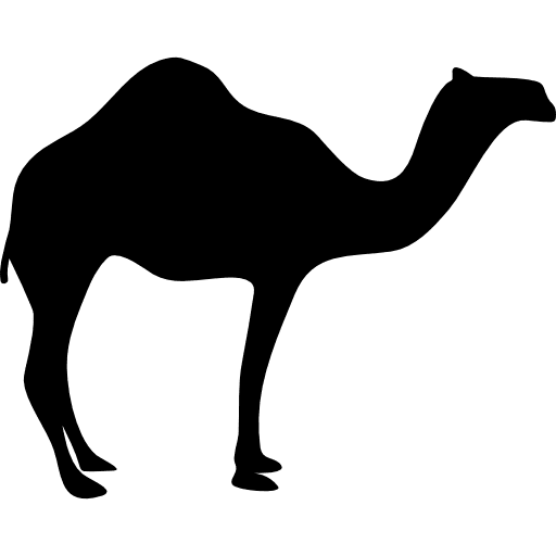 Dromedary looking right animals desert animal icon Dromedary looking right animals desert animal icon