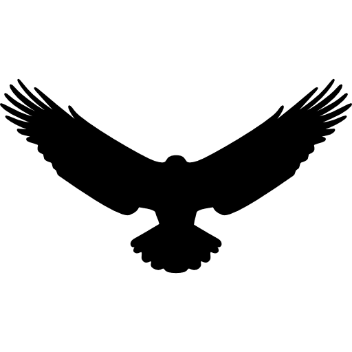 Eagle animals bird bird of prey icon