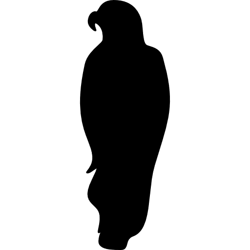 Eagle bird of prey animal bird icon Eagle bird of prey animal bird icon