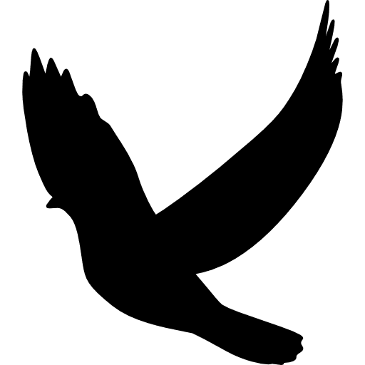 Pigeon animal dove bird icon Pigeon animal dove bird icon