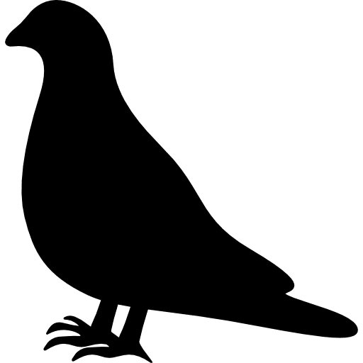 Pigeon animals bird animal icon Pigeon animals bird animal icon