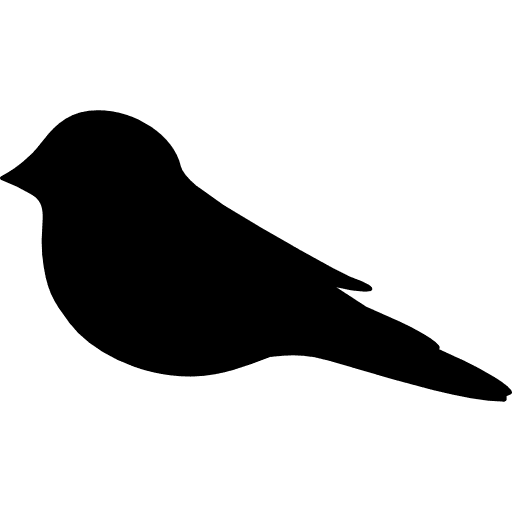 Welcome swallow animal animals bird icon Welcome swallow animal animals bird icon