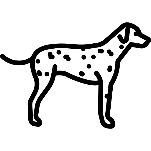 Dalmatian pet animal dog icon