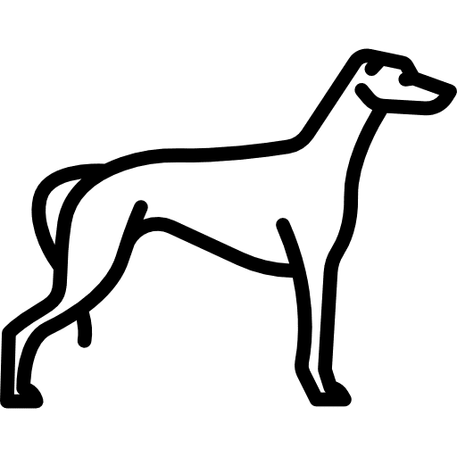 Greyhound mammal animals breed icon