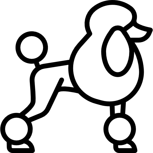 Poodle animal animals mammal icon